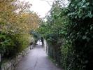 Looking down my old street