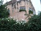 corner of gidon