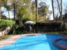 out back by the pool